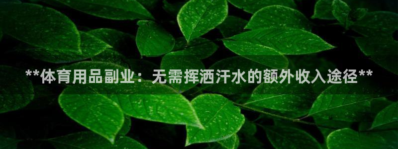 歐陸娛樂掛機項目怎么設(shè)置：**體育用品副業(yè)：無需揮灑